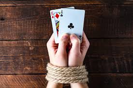 Официальный сайт Casino Cat